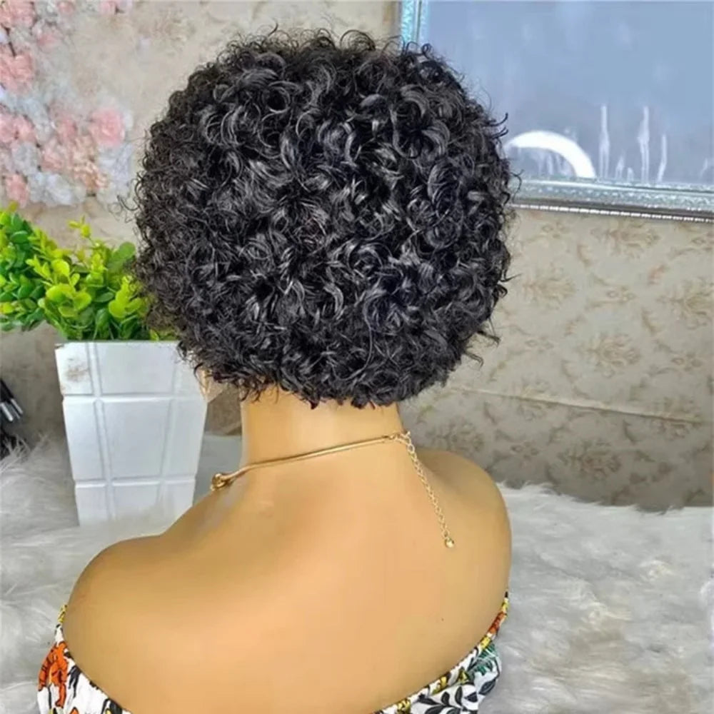 Short Curly Bob Human Hair Wig T Part Pixie Cut 13x4x1 Lace Wig for Women human hair